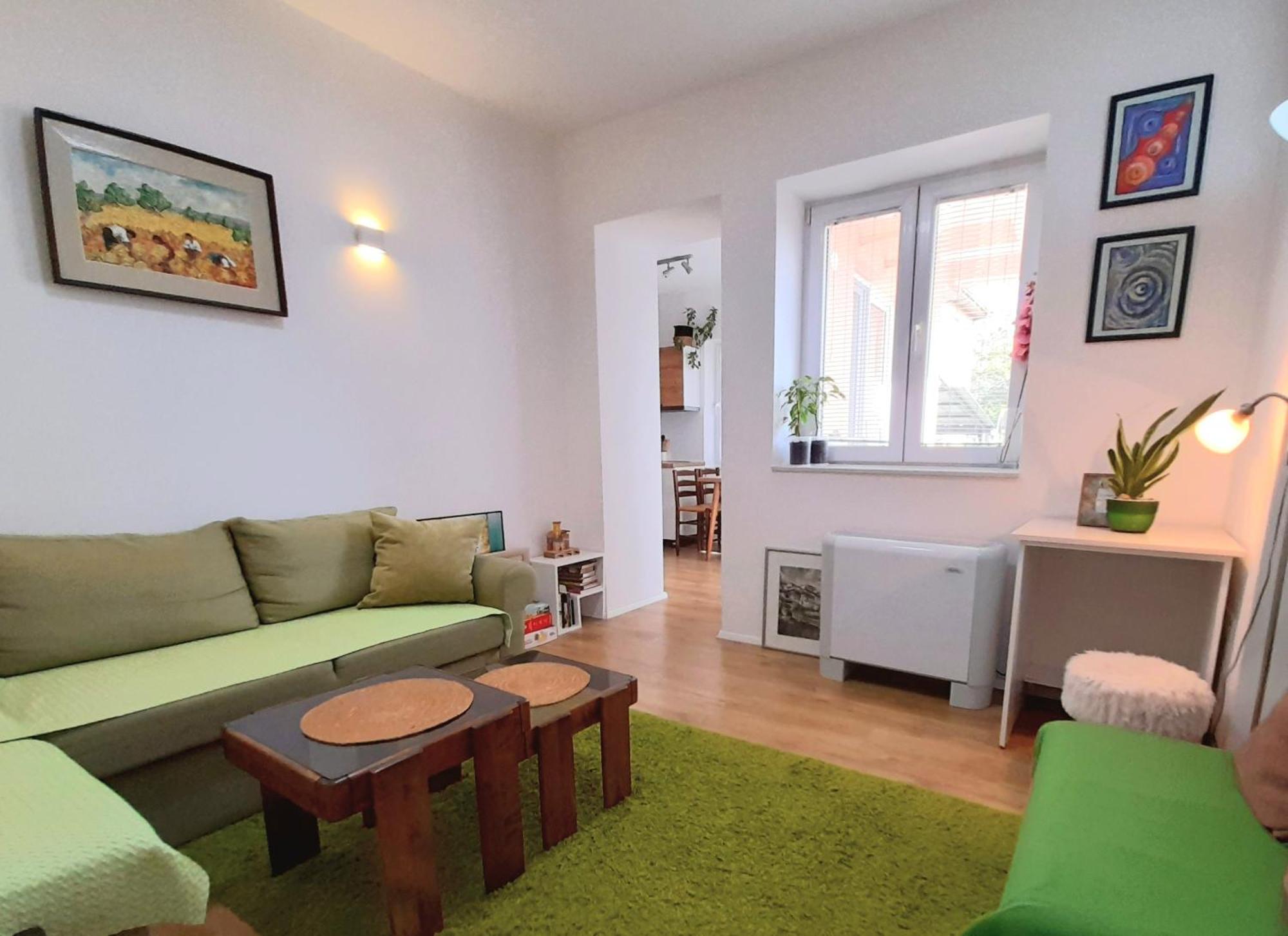 Central Modern Apt With Garden ستروغا المظهر الخارجي الصورة